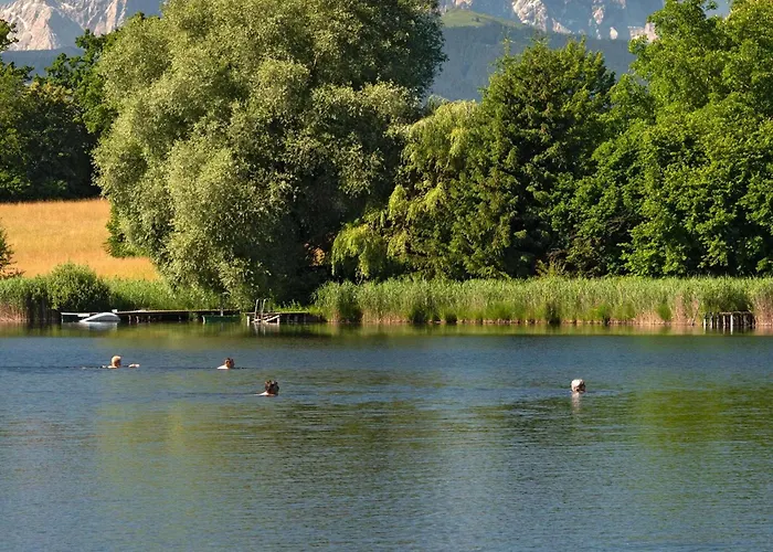 Alpenpanorama